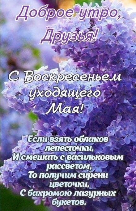 Доброе утро, друзья! С Воскресеньем уходящего Мая! - открытка со стишком