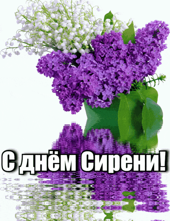 Красивая гифка с днём Сирени!