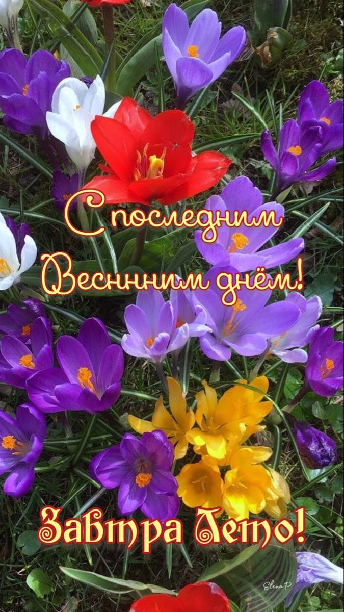 Открытка с последним весенним днём! Завтра Лето!