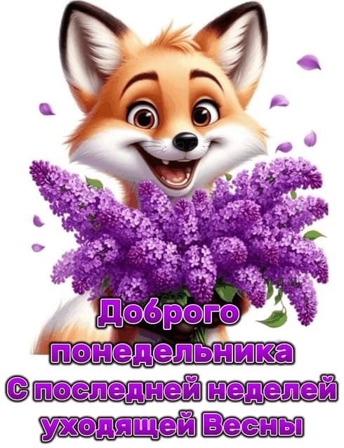 Картинка доброго понедельника, с последней неделей уходящей весны!