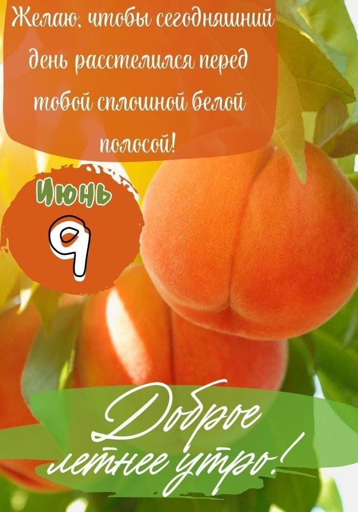 9-ое Июня открытка с пожеланиями доброго утра!