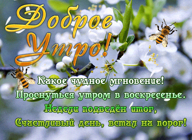 Красивая весенняя гиф открытка с пожеланием доброго Воскресного утра
