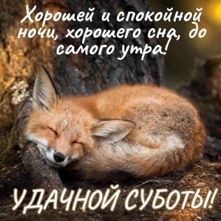 Хорошей и спокойной ночи! Удачной субботы!