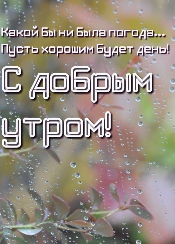 После дождливого утра, пусть хорошим будет день!