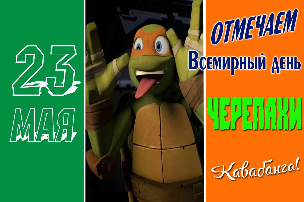 Смешная мультяшная открытка на Всемирный день Черепахи