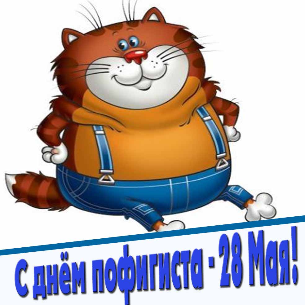 Мультяшная картинка с котом на день пофигиста