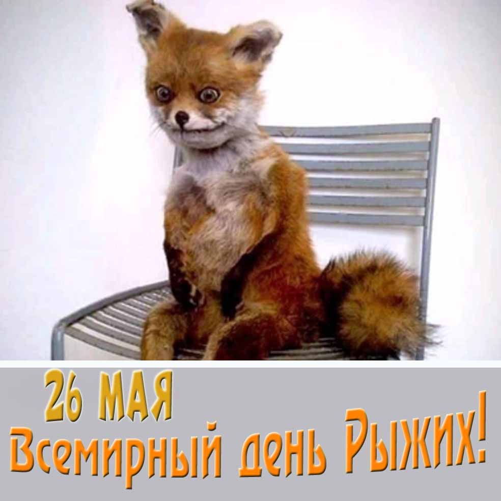 Смешная картинка с упоротым лисом на всемирный день рыжих