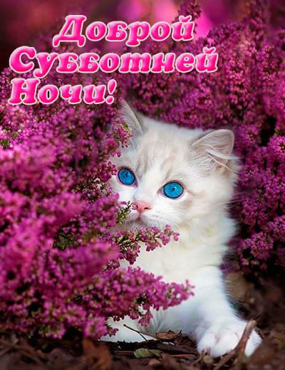 Весенняя открытка с пожеланием доброй субботней ночи