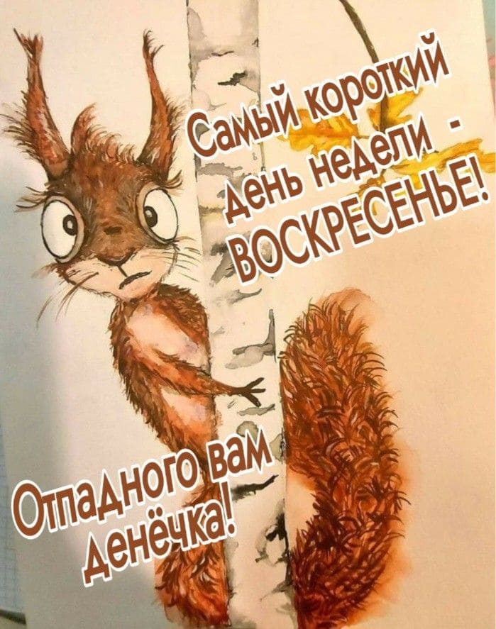 Самый короткий день недели - Воскресенье! Отпадного Вам денёчка! - смешная картинка