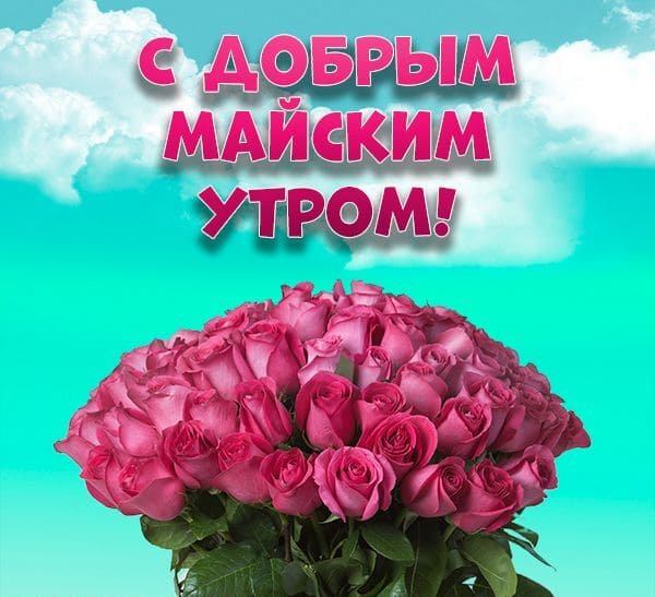 Розы для любимой добрым майским утром!