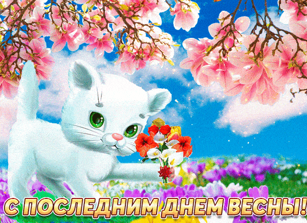 Красивая гифка с последним днём весны с кошкой