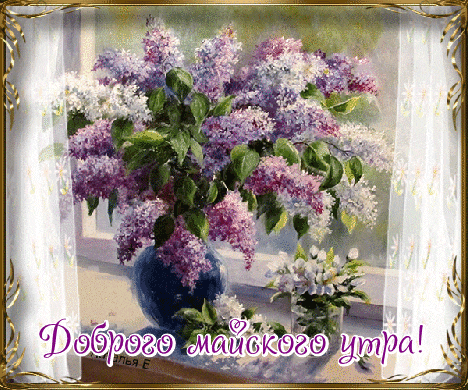 Гифка с букетом сирени для доброго Майского утра!