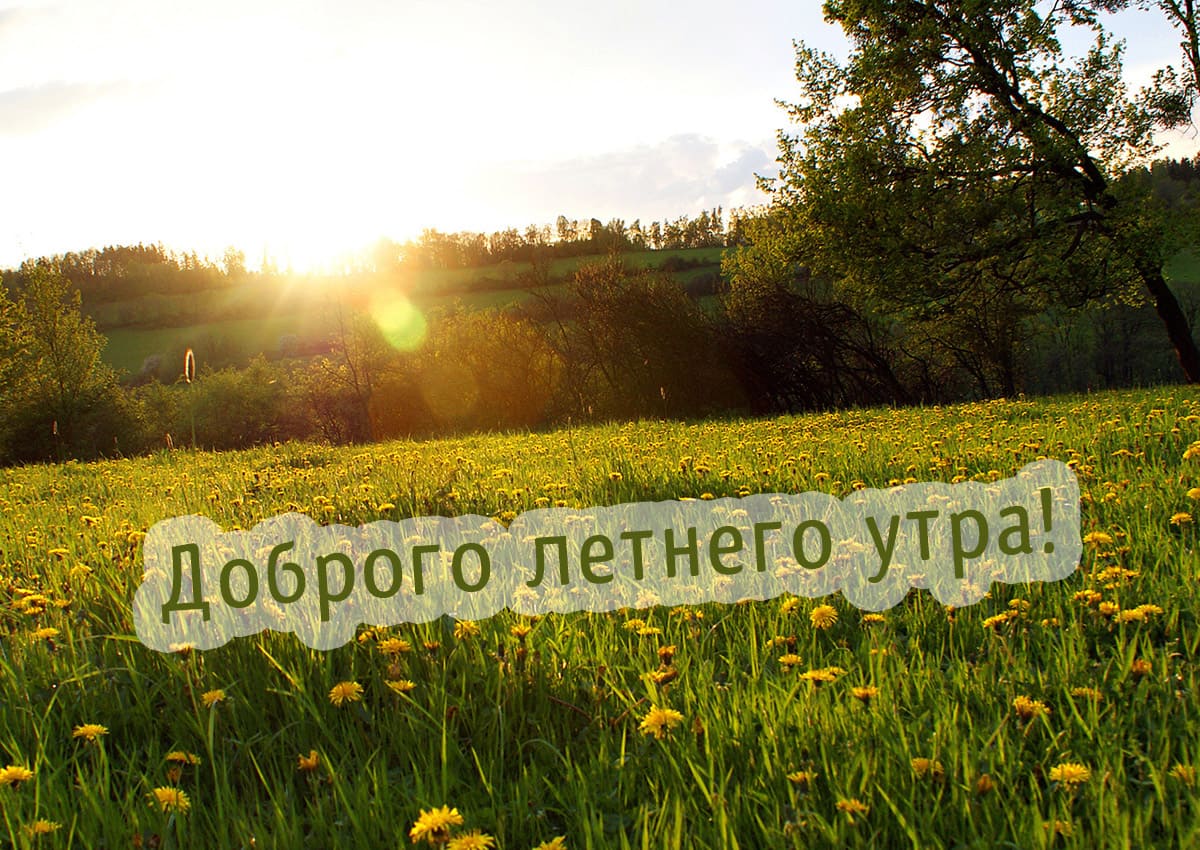 Красивая открытка с пожеланием доброго летнего утра
