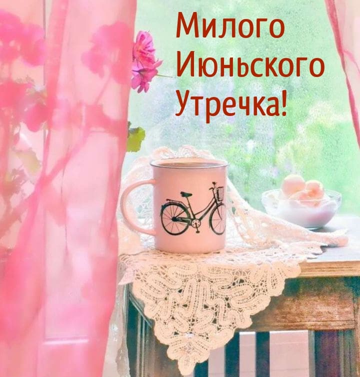 Картинка милого Июньского утра!