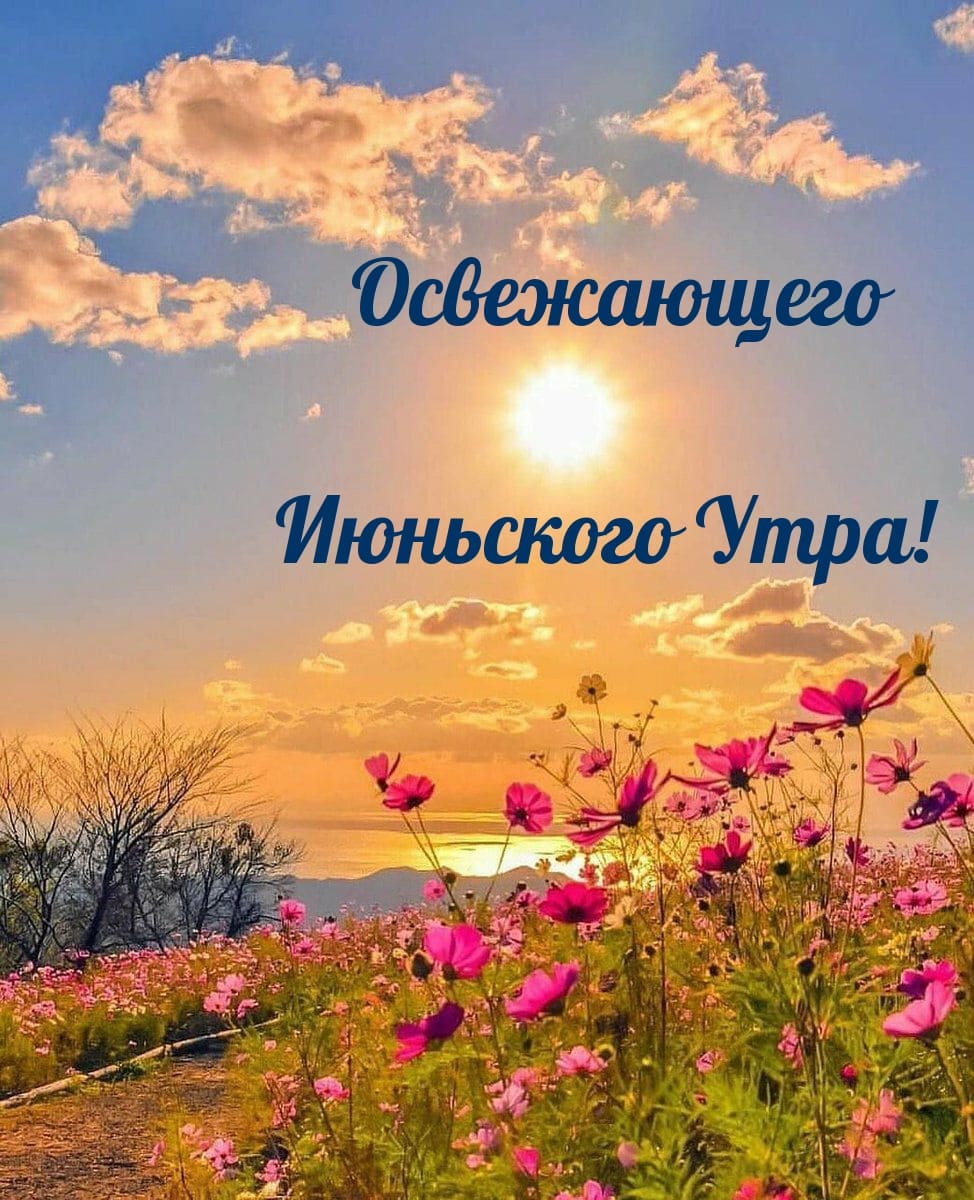 Солнечная открытка с пожеланием освежающего Июньского утра!