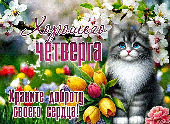 Красивая gif картинка хорошего Четверга! с весенними цветами и котом