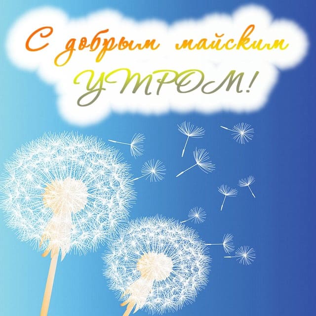 Одуванчиковая картинка доброе майское утро