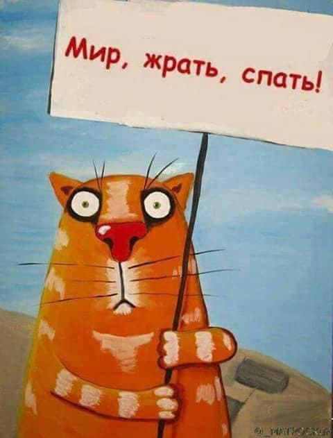 Прикол "Мир! Труд! Май!" кот с плакатом "Мир, жрать, спать!"