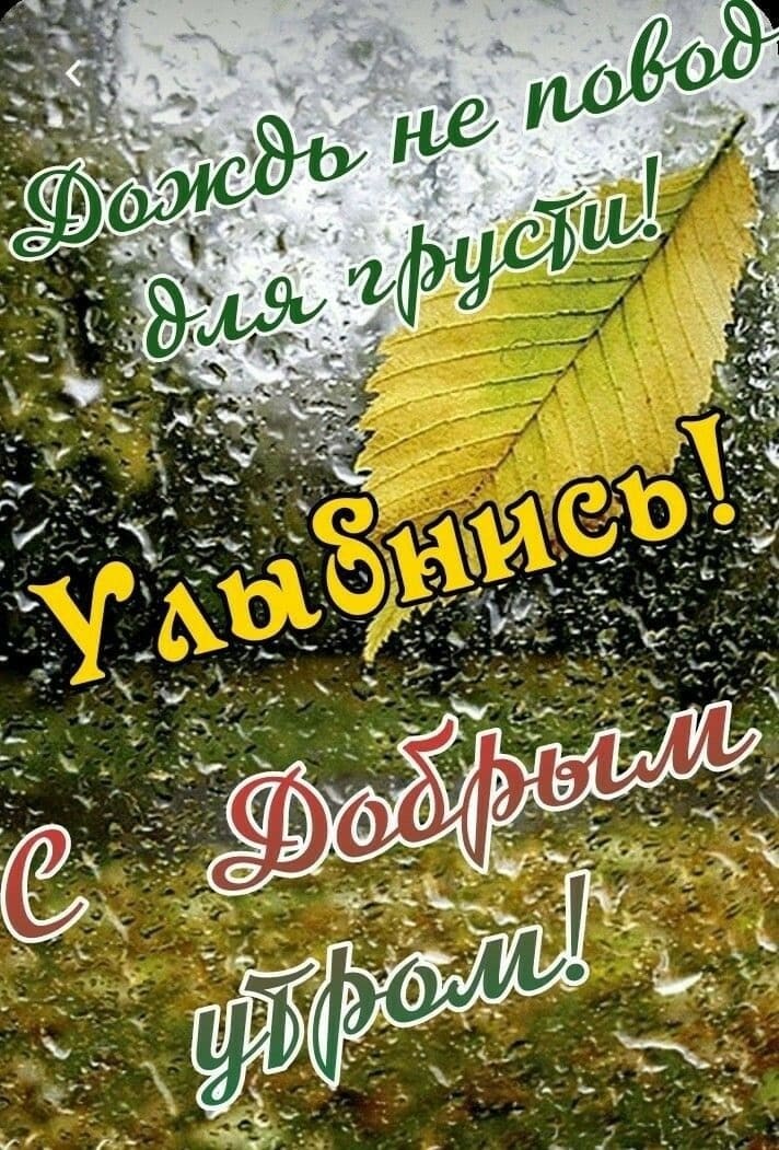 Осеннее дождливое утро! Улыбнись!