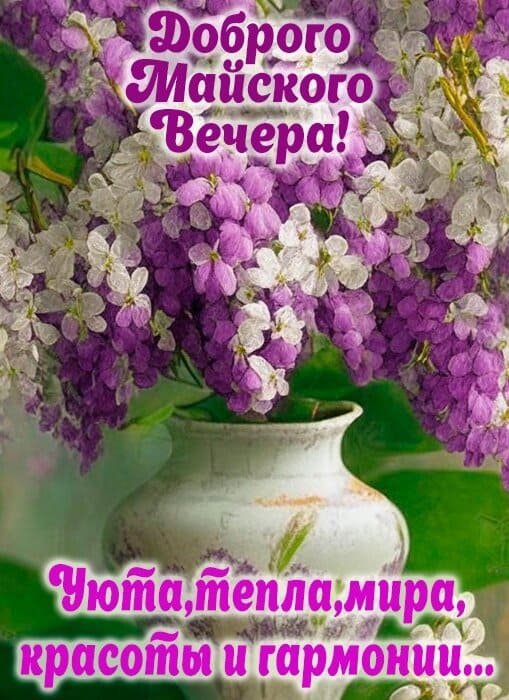 Доброго майского вечера! Уюта, тепла, мира, красоты и гармонии...