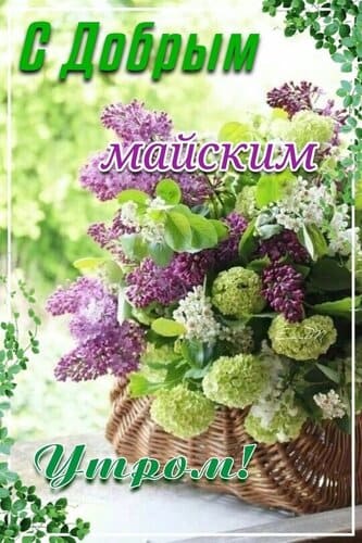 Открытка для ватсапа с добрым утром мая
