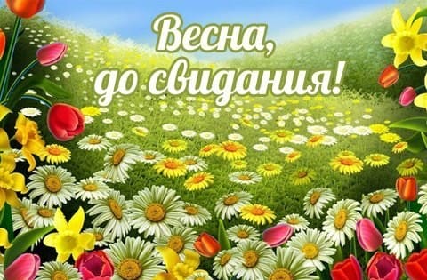 Цветочная картинка с надписью : "Весна, да свидания!"