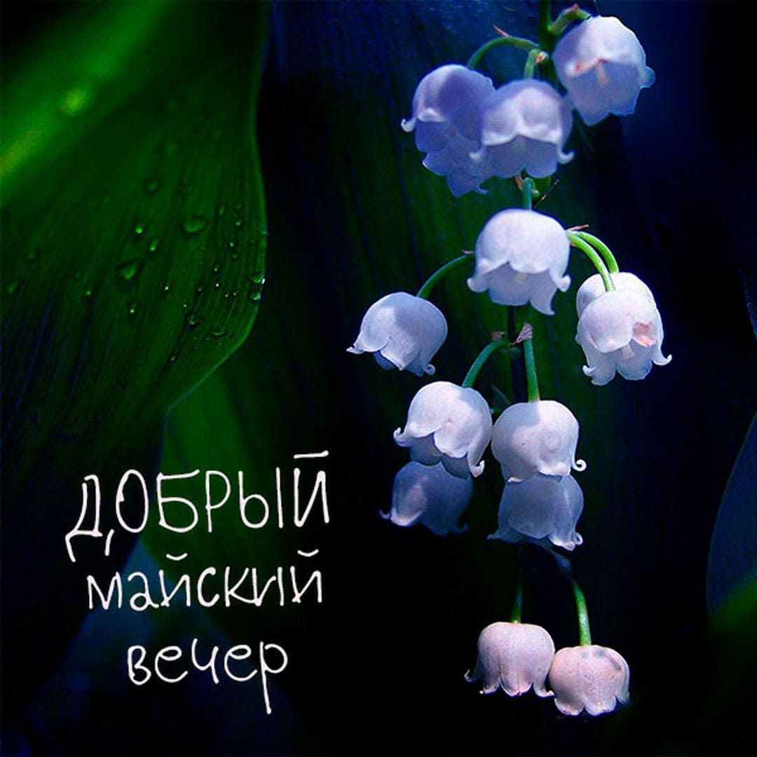 Красивая открытка желаю доброго майского вечера