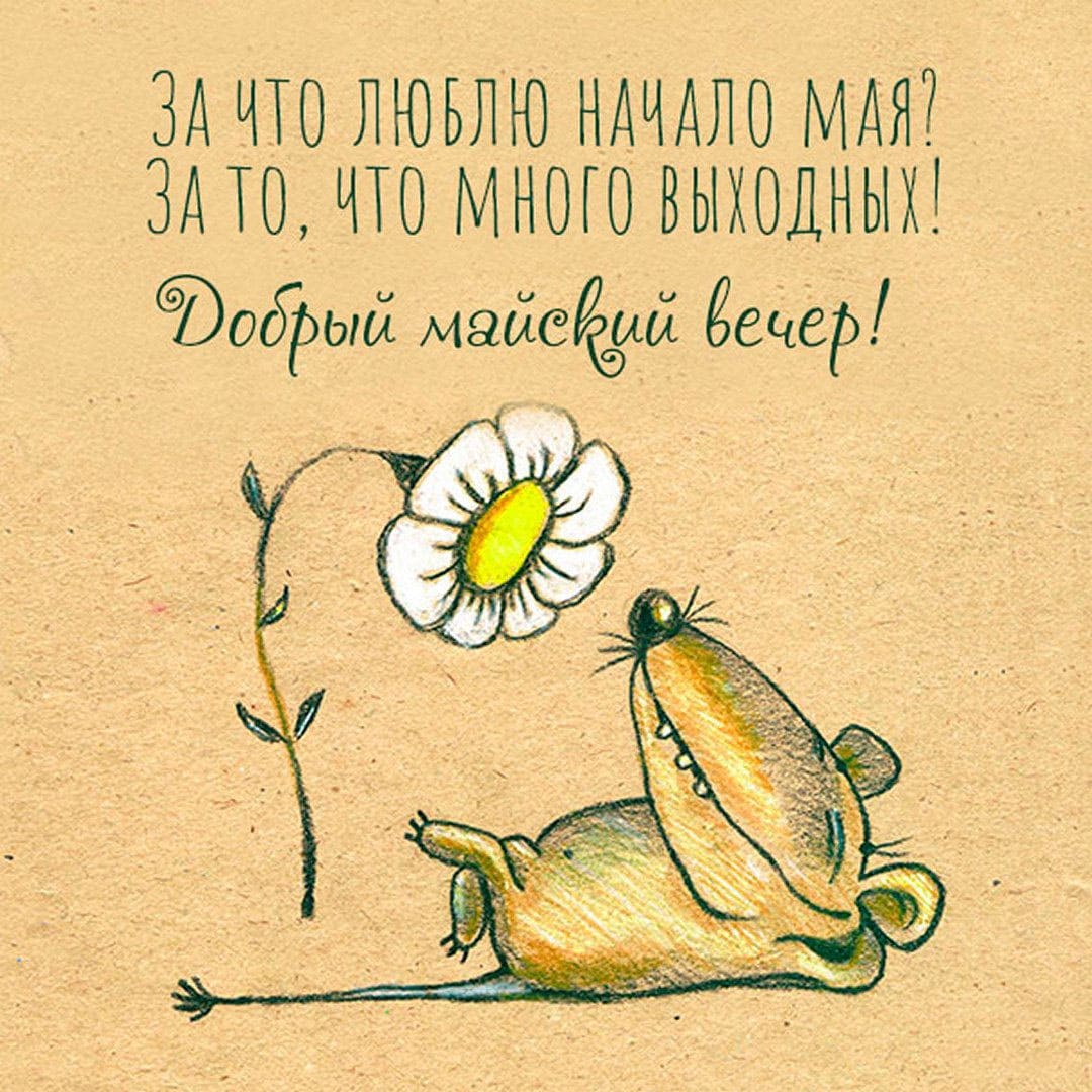 Смешной рисунок с пожеланием доброго Майского вечера