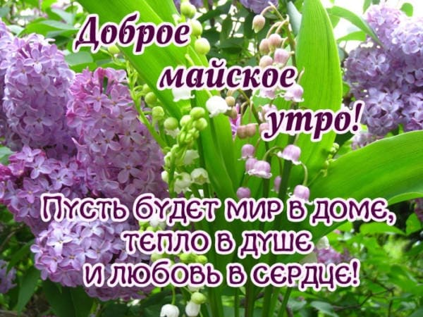 Доброе майское утро! Пусть бет мир в доме и тепло в душе!