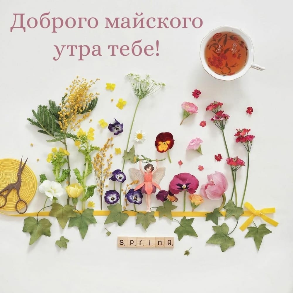 Цветы для любимой майским утром!
