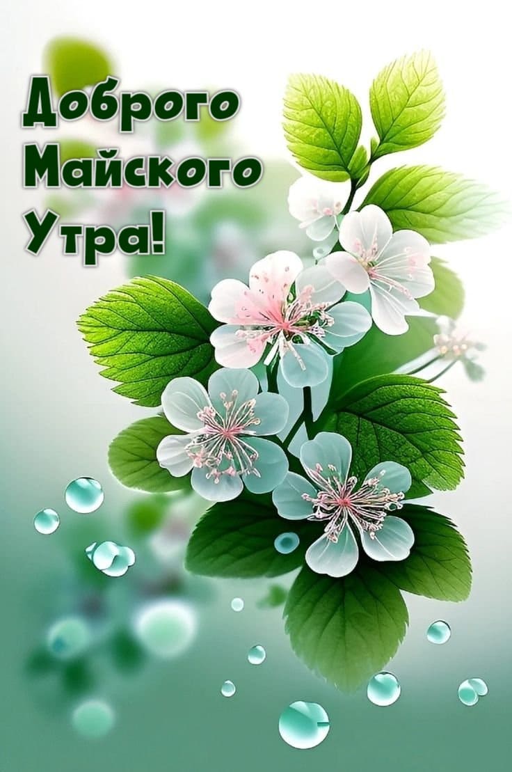 Вертикальная картинка на телефон с пожеланием доброго майского утра!