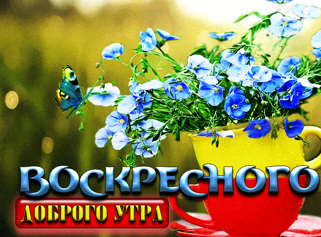 Весенняя гифка желаю Воскресного доброго утра!