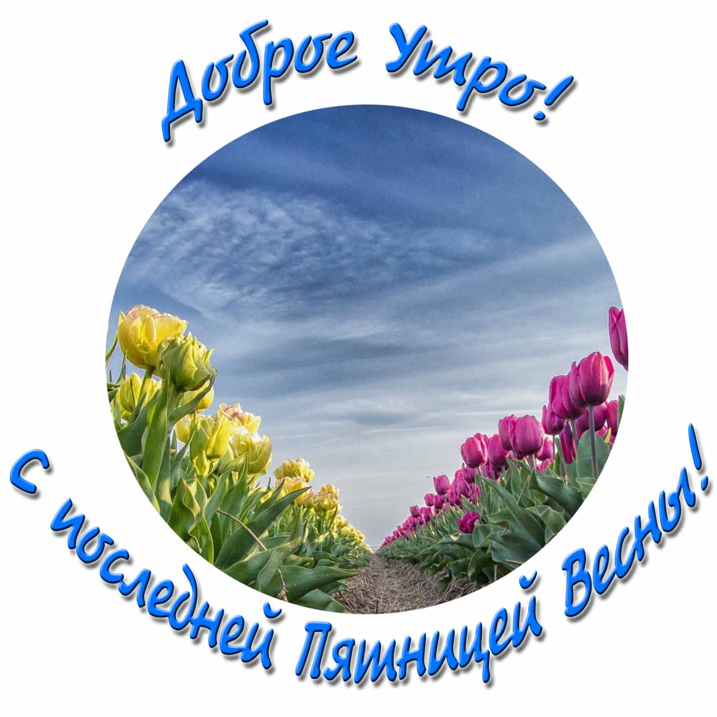 Картинка доброе утро! С последней Пятницей Весны!