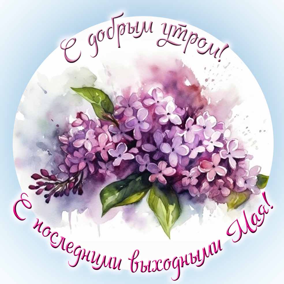 С добрым утром! С последними выходными Мая! - картинка с сиренью
