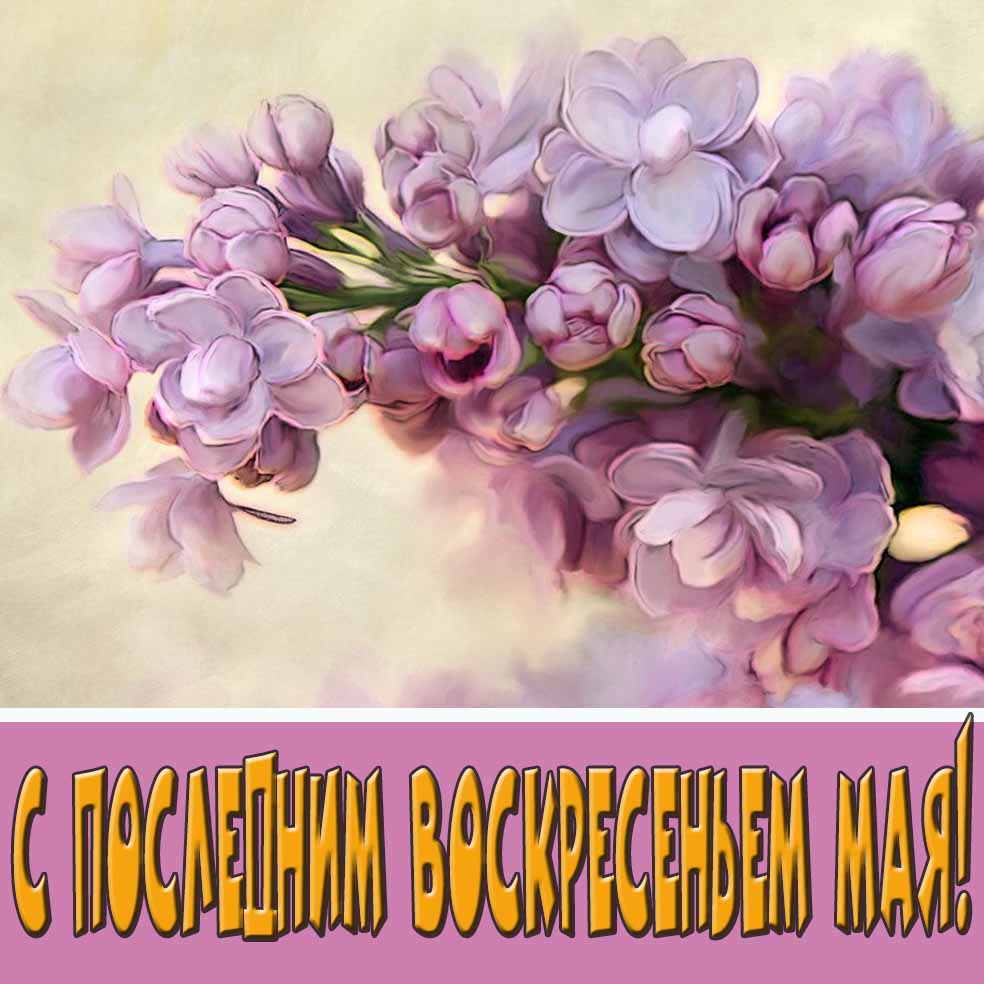 Открытка с последним Воскресеньем Мая