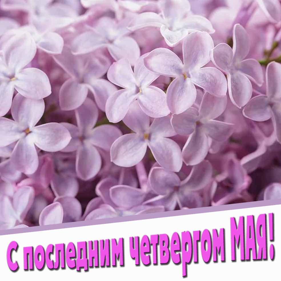 Красивая открытка с последним четвергом Мая!