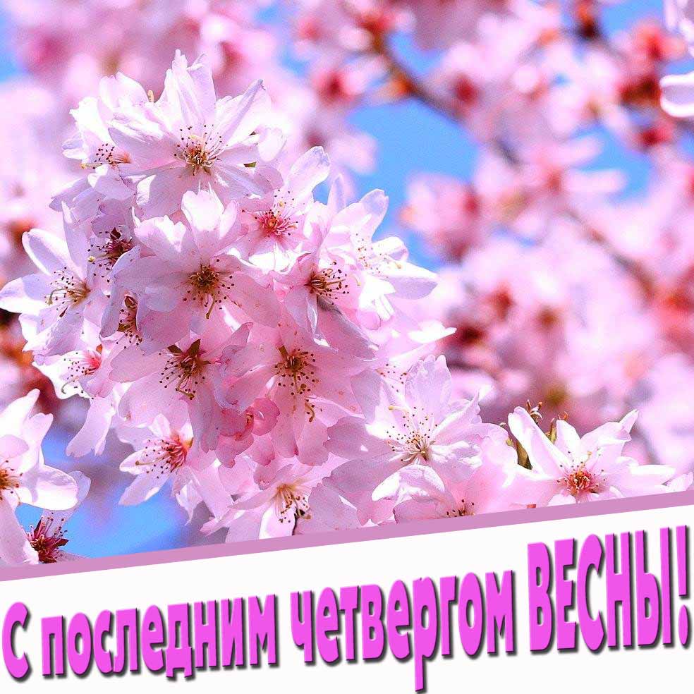 Картинка с последним Четвергом Весны!