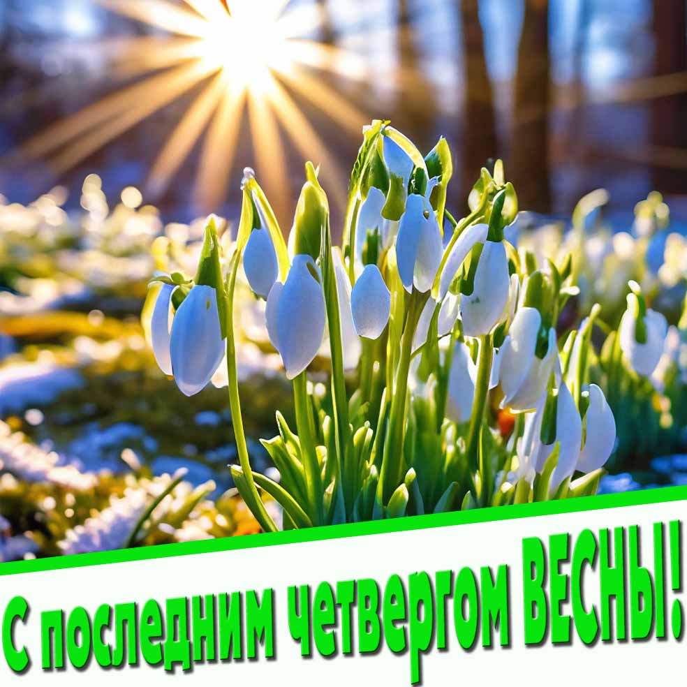 С последним четвергом Весны! - картинка с ландышами