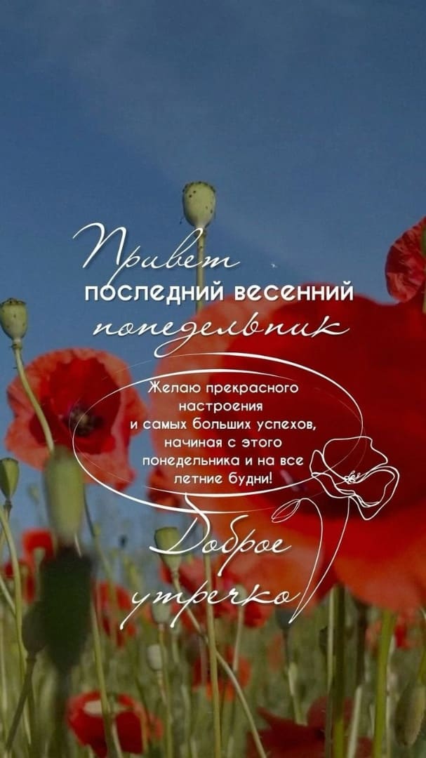 Привет последний весенний Понедельник! Доброе утро! - картинка на телефон