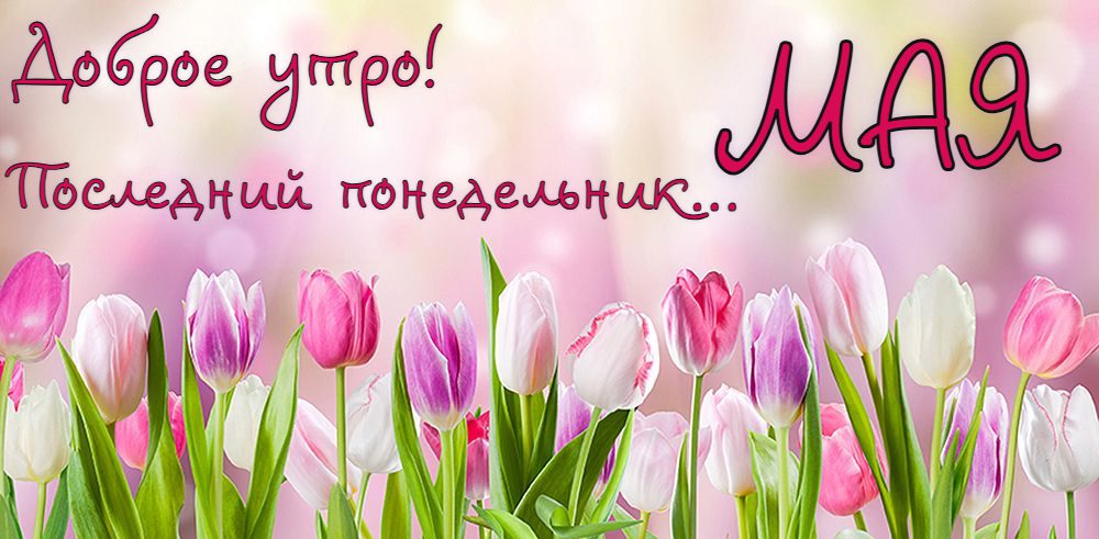 Картинка доброе утро! Последний понедельник Мая!