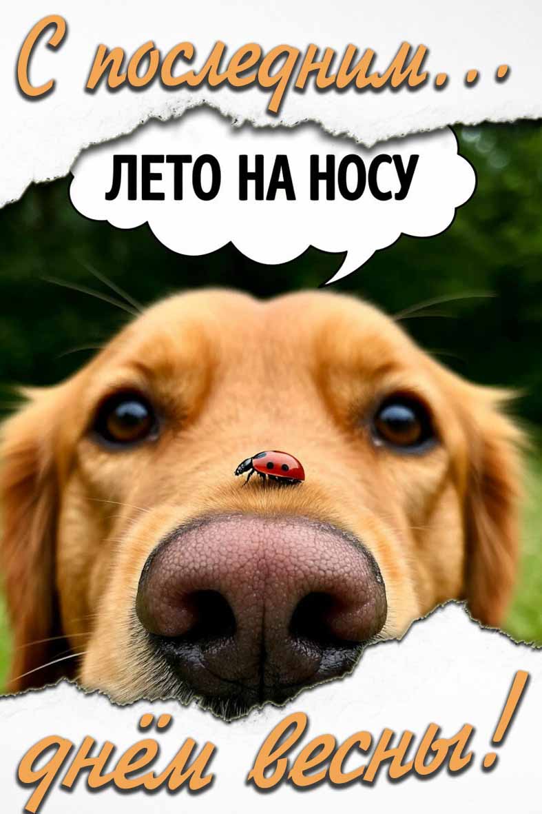 Прикольная открытка "С последним днём весны! Лето на носу!"