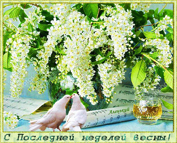 Блестящая анимация с последней неделей весны!