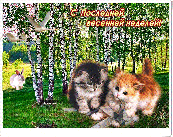 Гифка поздравляю с последней весенней неделей!