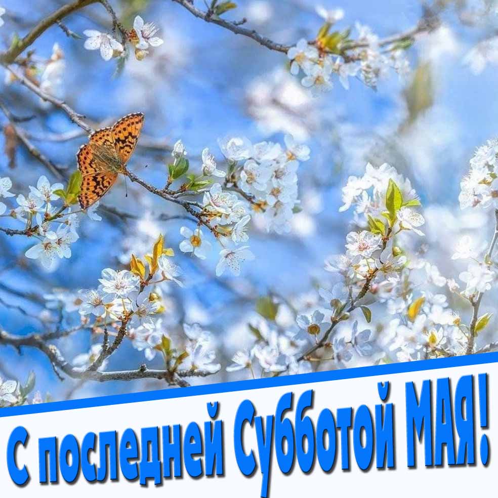 Красивая открытка с последней субботой мая