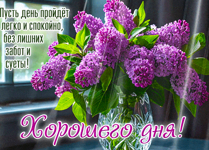 Гифка хорошего дня с букетом сирени и пожеланиями