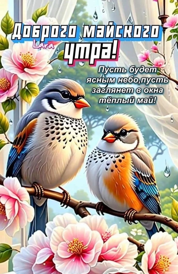 Открытки с добрым утром майские с животными