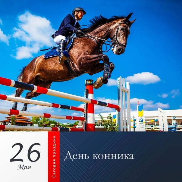 Красивая картинка в день конника 26 мая