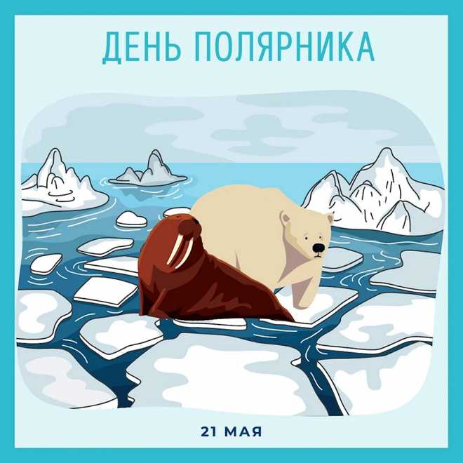 Рисунок с моржом и медведем ко дню Полярника