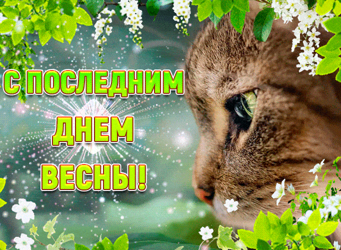 Прикольная гифка с последним днём Весны!