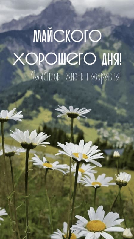 Хорошего майского дня! Улыбнись, жизнь прекрасна!